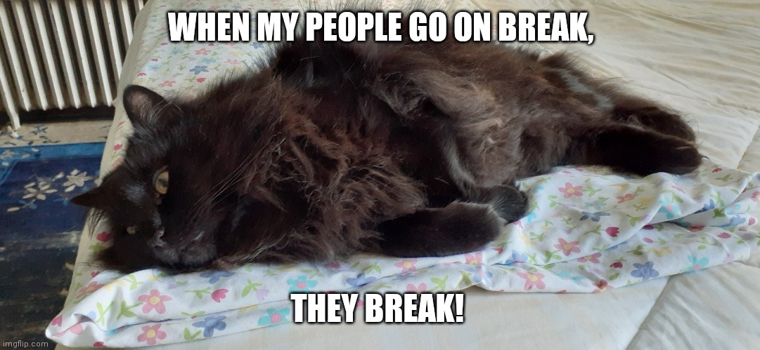 Jackie on break | WHEN MY PEOPLE GO ON BREAK, THEY BREAK! | image tagged in breakin' jackie | made w/ Imgflip meme maker