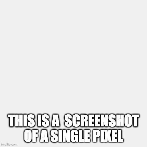 THIS IS A  SCREENSHOT OF A SINGLE PIXEL | image tagged in smol | made w/ Imgflip meme maker