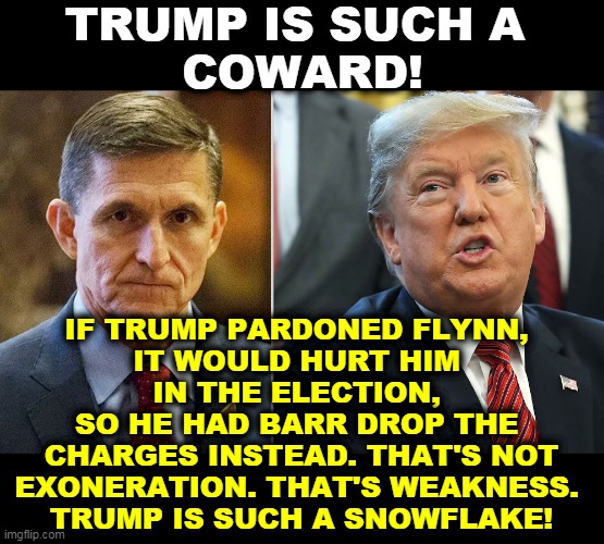 This is another failure. No winning involved. | TRUMP IS SUCH A 
COWARD! IF TRUMP PARDONED FLYNN, 
IT WOULD HURT HIM 
IN THE ELECTION, 
SO HE HAD BARR DROP THE 
CHARGES INSTEAD. THAT'S NOT EXONERATION. THAT'S WEAKNESS. 
TRUMP IS SUCH A SNOWFLAKE! | image tagged in michael flynn,trump,weakness,snowflake,coward,loser | made w/ Imgflip meme maker