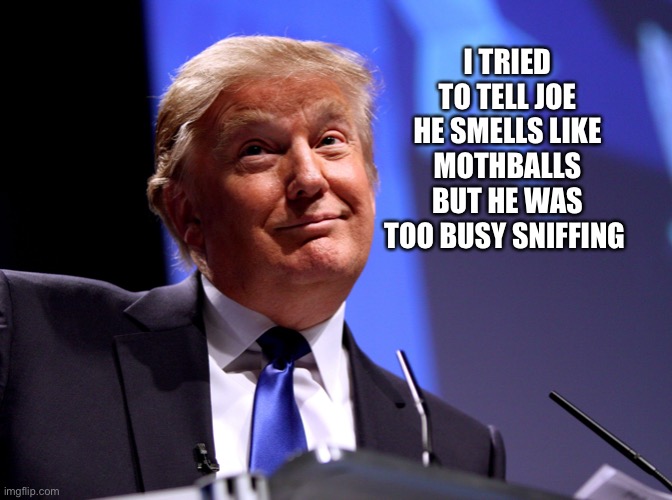 I TRIED TO TELL JOE HE SMELLS LIKE MOTHBALLS BUT HE WAS TOO BUSY SNIFFING | made w/ Imgflip meme maker