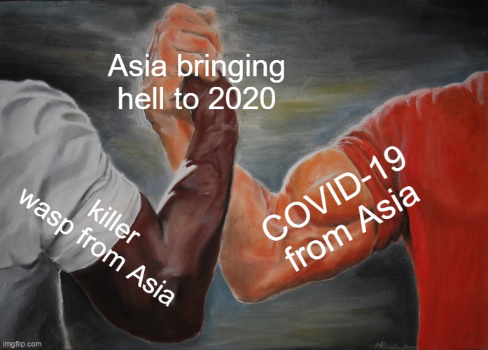 Epic Handshake | Asia bringing hell to 2020; COVID-19 from Asia; killer wasp from Asia | image tagged in memes,epic handshake | made w/ Imgflip meme maker