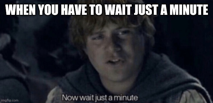 Samwise Now wait just a minute | WHEN YOU HAVE TO WAIT JUST A MINUTE | image tagged in samwise now wait just a minute,lord of the rings | made w/ Imgflip meme maker