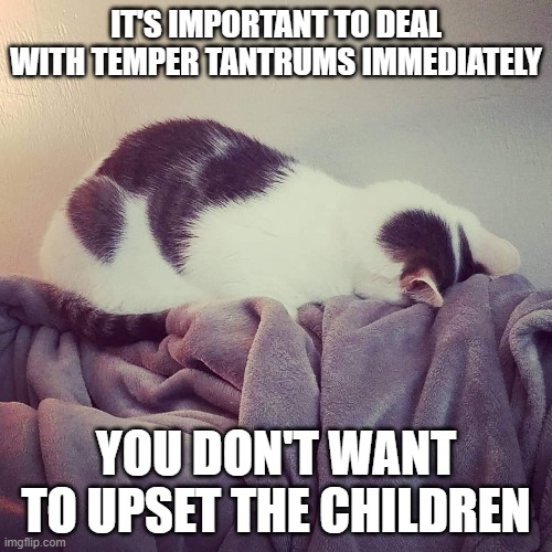 Temper Tantrums |  IT'S IMPORTANT TO DEAL WITH TEMPER TANTRUMS IMMEDIATELY; YOU DON'T WANT TO UPSET THE CHILDREN | image tagged in meme,children,temper tantrum,cats | made w/ Imgflip meme maker