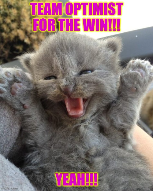 Yay Kitty | TEAM OPTIMIST FOR THE WIN!!! YEAH!!! | image tagged in yay kitty | made w/ Imgflip meme maker