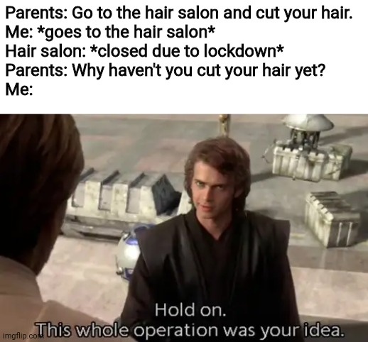 Hold on this whole operation was your idea | Parents: Go to the hair salon and cut your hair.
Me: *goes to the hair salon*
Hair salon: *closed due to lockdown*
Parents: Why haven't you cut your hair yet?
Me: | image tagged in hold on this whole operation was your idea,lockdown,memes,haircut,parents | made w/ Imgflip meme maker