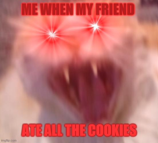 angry from cookie loss | ME WHEN MY FRIEND; ATE ALL THE COOKIES | image tagged in angry cat | made w/ Imgflip meme maker