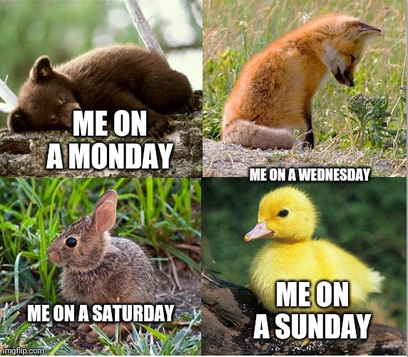 Me on weekdays | ME ON A MONDAY; ME ON A WEDNESDAY; ME ON A SUNDAY; ME ON A SATURDAY | image tagged in funny memes | made w/ Imgflip meme maker
