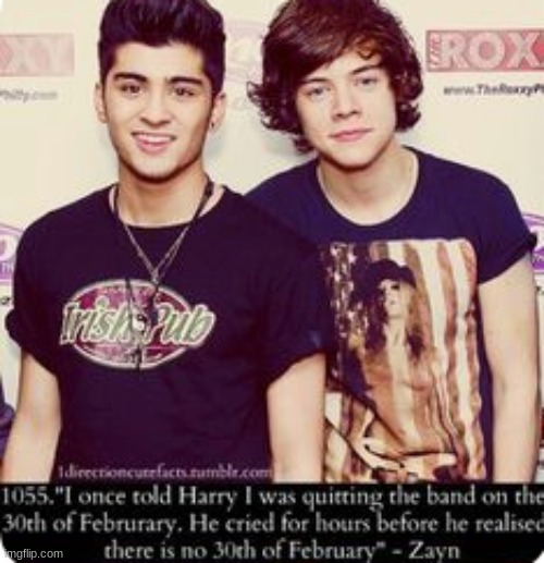 Sounds like something I would do... | image tagged in one direction | made w/ Imgflip meme maker
