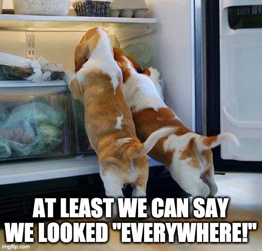 Looked Everywhere | AT LEAST WE CAN SAY WE LOOKED "EVERYWHERE!" | image tagged in cute puppies,puppies | made w/ Imgflip meme maker