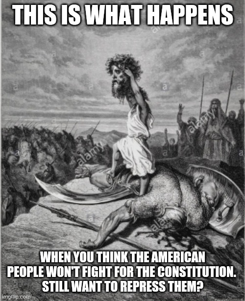 Why fear the goliath?       When YOU are david. | THIS IS WHAT HAPPENS; WHEN YOU THINK THE AMERICAN PEOPLE WON'T FIGHT FOR THE CONSTITUTION. 
STILL WANT TO REPRESS THEM? | image tagged in memes | made w/ Imgflip meme maker