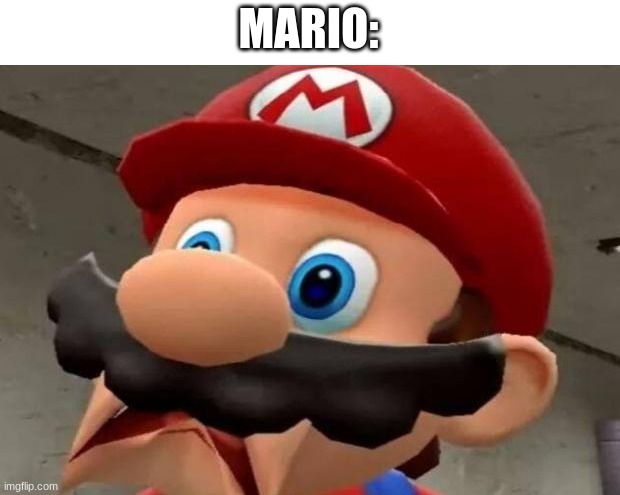 Mario WTF | MARIO: | image tagged in mario wtf | made w/ Imgflip meme maker