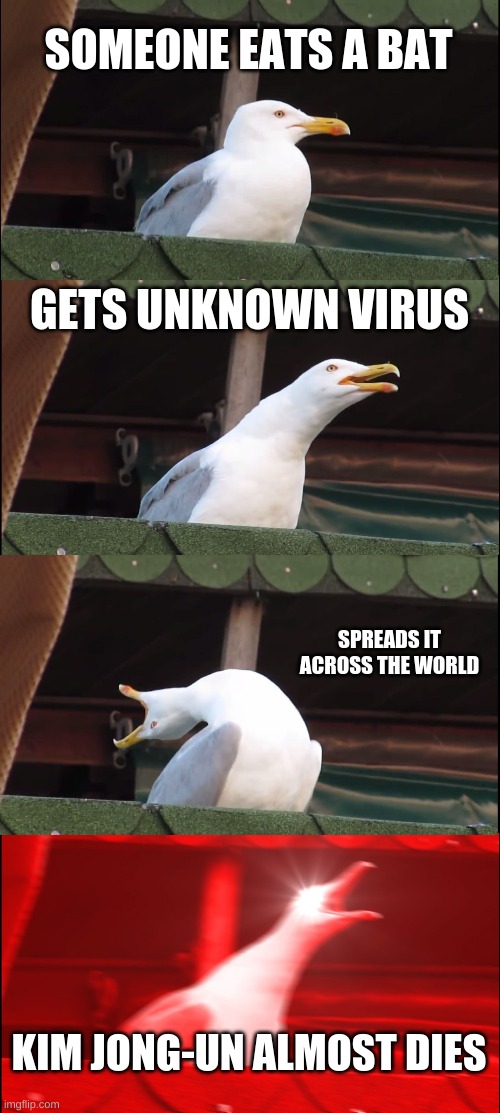 Inhaling Seagull Meme | SOMEONE EATS A BAT; GETS UNKNOWN VIRUS; SPREADS IT ACROSS THE WORLD; KIM JONG-UN ALMOST DIES | image tagged in memes,inhaling seagull | made w/ Imgflip meme maker