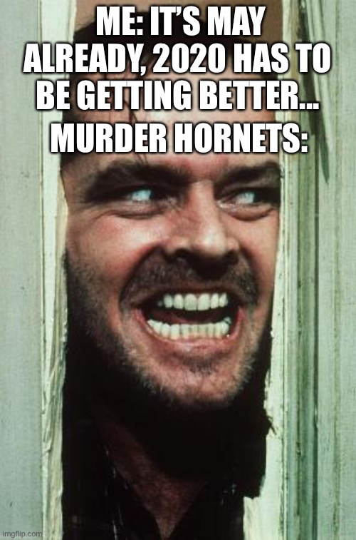 One more murder hornet meme... | ME: IT’S MAY ALREADY, 2020 HAS TO BE GETTING BETTER... MURDER HORNETS: | image tagged in memes,here's johnny | made w/ Imgflip meme maker