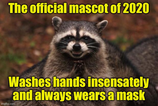 Rearrange the letters in CORONA and you get RACOON | The official mascot of 2020; Washes hands insensately and always wears a mask | image tagged in evil genius racoon,corona virus,racoon | made w/ Imgflip meme maker