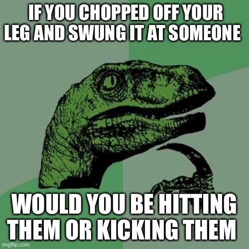 Answer in the comments | IF YOU CHOPPED OFF YOUR LEG AND SWUNG IT AT SOMEONE; WOULD YOU BE HITTING THEM OR KICKING THEM | image tagged in memes,philosoraptor | made w/ Imgflip meme maker