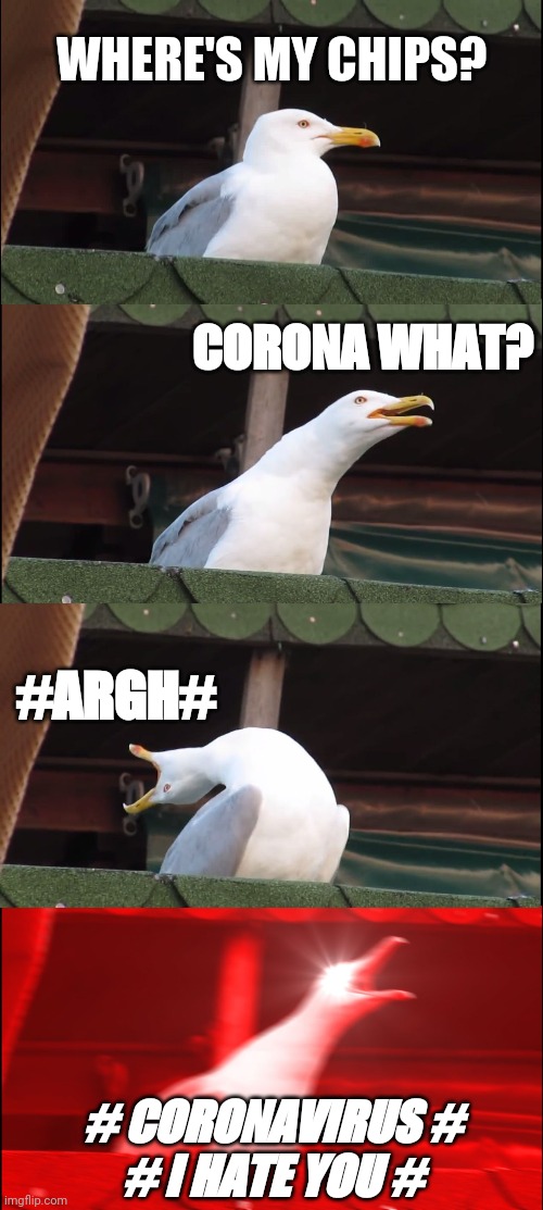 Inhaling Seagull Meme | WHERE'S MY CHIPS? CORONA WHAT? #ARGH#; # CORONAVIRUS #
# I HATE YOU # | image tagged in memes,inhaling seagull,covid-19,coronavirus,chips | made w/ Imgflip meme maker