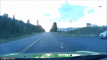 When Deer Fly... - Imgflip