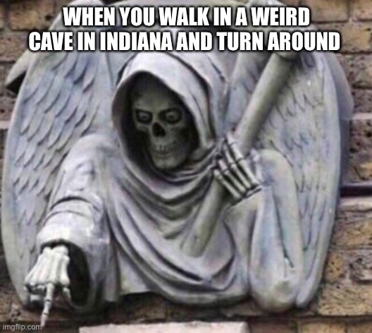 It’s a reference to something | WHEN YOU WALK IN A WEIRD CAVE IN INDIANA AND TURN AROUND | image tagged in pointing death,tag,death | made w/ Imgflip meme maker