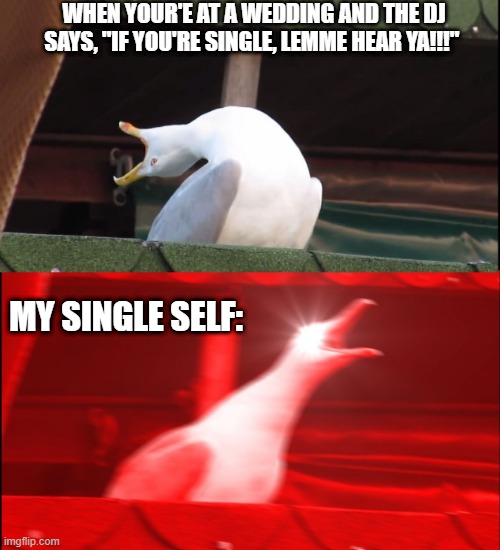 Screaming bird | WHEN YOUR'E AT A WEDDING AND THE DJ SAYS, "IF YOU'RE SINGLE, LEMME HEAR YA!!!"; MY SINGLE SELF: | image tagged in screaming bird | made w/ Imgflip meme maker