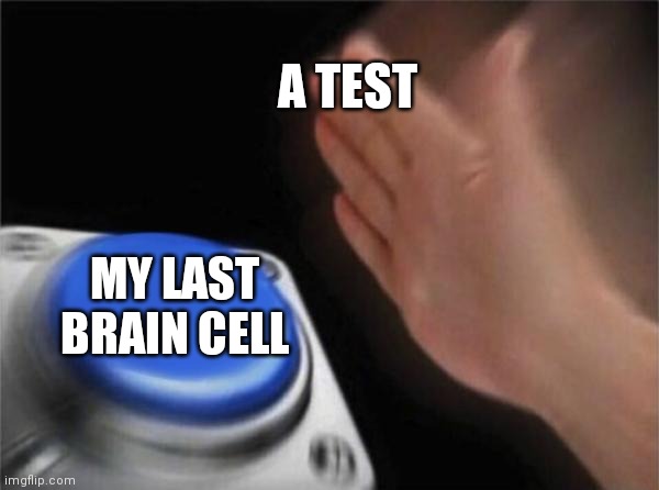 Blank Nut Button Meme | A TEST; MY LAST BRAIN CELL | image tagged in memes,blank nut button | made w/ Imgflip meme maker