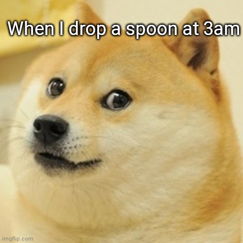 Doge Meme | When I drop a spoon at 3am | image tagged in memes,doge | made w/ Imgflip meme maker