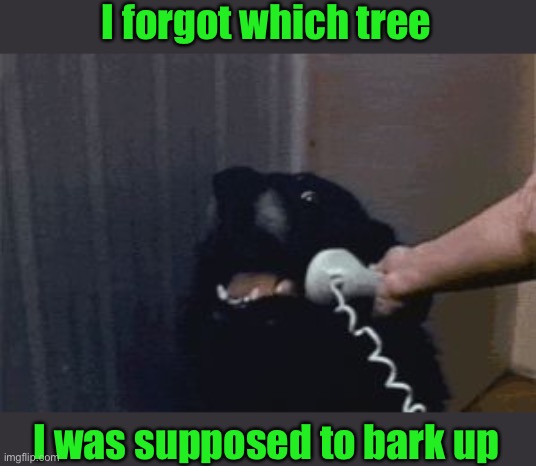 Dog Phone | I forgot which tree I was supposed to bark up | image tagged in dog phone | made w/ Imgflip meme maker