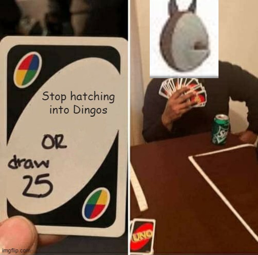 Roblox memes #27 | Stop hatching into Dingos | image tagged in memes,uno draw 25 cards | made w/ Imgflip meme maker