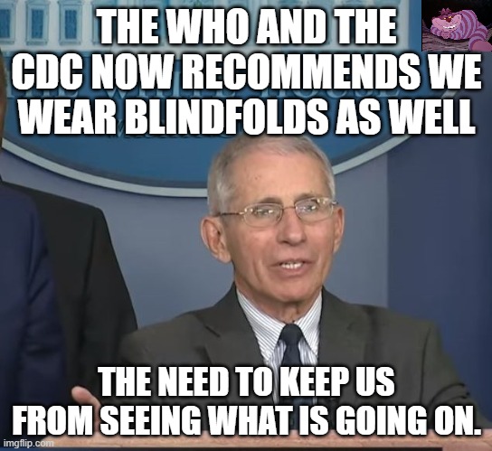 The more we learn, this less we believe the "experts" | THE WHO AND THE CDC NOW RECOMMENDS WE WEAR BLINDFOLDS AS WELL; THE NEED TO KEEP US FROM SEEING WHAT IS GOING ON. | image tagged in dr fauci | made w/ Imgflip meme maker