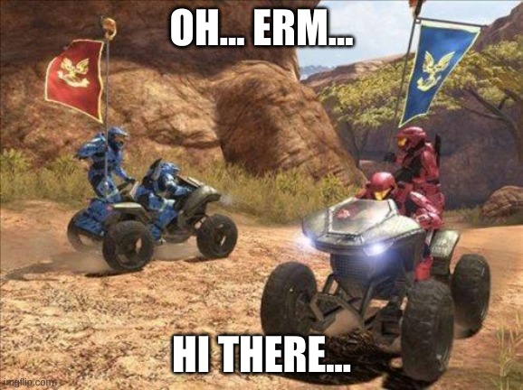 Halo | OH... ERM... HI THERE... | image tagged in halo,multiplayer,flags | made w/ Imgflip meme maker