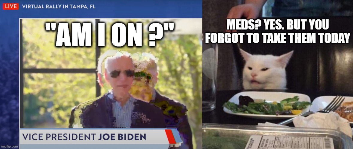 Biden and Smudge - Am I On? | MEDS? YES. BUT YOU FORGOT TO TAKE THEM TODAY; "AM I ON ?" | image tagged in smudge the cat,joe biden,political meme | made w/ Imgflip meme maker