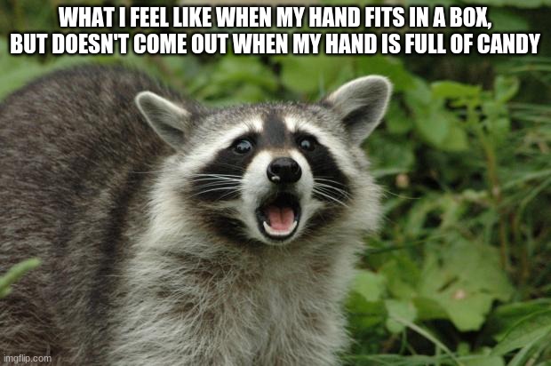 Surpised raccoon | WHAT I FEEL LIKE WHEN MY HAND FITS IN A BOX BUT DOESN'T COME OUT WHEN MY HAND IS FULL OF CANDY | image tagged in surpised raccoon | made w/ Imgflip meme maker