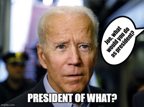 Mr Presidental | Joe, what would you do as president? PRESIDENT OF WHAT? | image tagged in confused joe,bidden his time | made w/ Imgflip meme maker