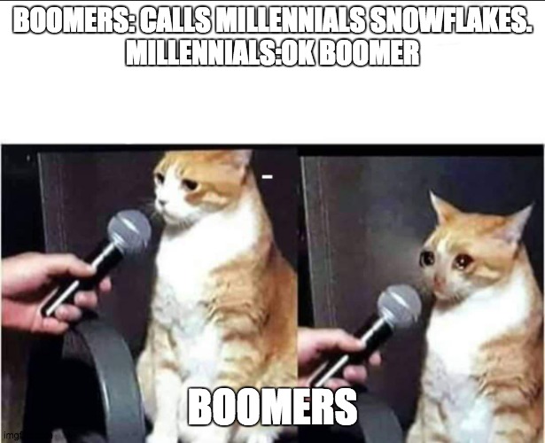 sad cat interview | BOOMERS: CALLS MILLENNIALS SNOWFLAKES.
MILLENNIALS:OK BOOMER; BOOMERS | image tagged in sad cat interview | made w/ Imgflip meme maker