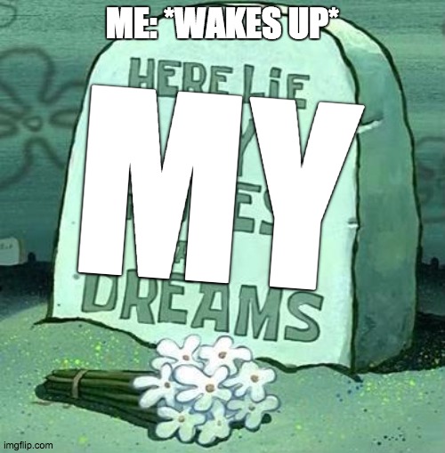 I had no where else to put this |  ME: *WAKES UP*; MY | image tagged in here lie my hopes and dreams | made w/ Imgflip meme maker