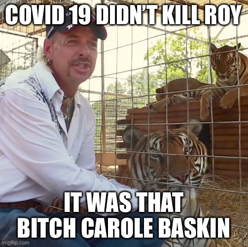 Cb | COVID 19 DIDN’T KILL ROY; IT WAS THAT BITCH CAROLE BASKIN | image tagged in carole baskin | made w/ Imgflip meme maker