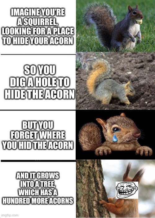Squirrel Memes | IMAGINE YOU’RE A SQUIRREL, LOOKING FOR A PLACE TO HIDE YOUR ACORN; SO YOU DIG A HOLE TO HIDE THE ACORN; BUT YOU FORGET WHERE YOU HID THE ACORN; AND IT GROWS INTO A TREE, WHICH HAS A HUNDRED MORE ACORNS | image tagged in squirrel | made w/ Imgflip meme maker