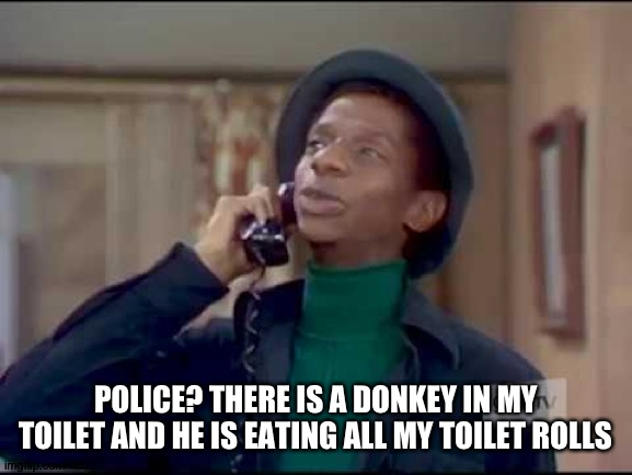 Toilet donkey | POLICE? THERE IS A DONKEY IN MY TOILET AND HE IS EATING ALL MY TOILET ROLLS | image tagged in bethropolis,toilet paper,donkey,funny | made w/ Imgflip meme maker