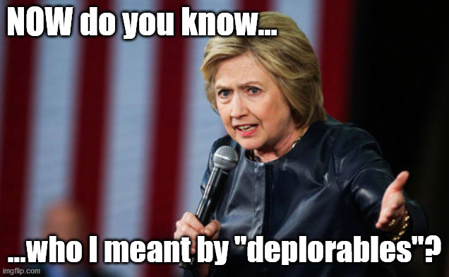 Hillary Deplorables | NOW do you know... ...who I meant by "deplorables"? | image tagged in hillary clinton,hillary,deplorable,donald trump | made w/ Imgflip meme maker