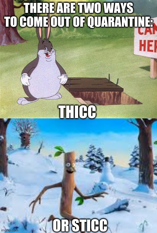 quarantine | THERE ARE TWO WAYS TO COME OUT OF QUARANTINE:; THICC; OR STICC | image tagged in big chungus | made w/ Imgflip meme maker