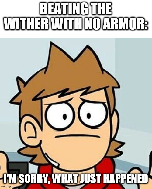 Eddsworld | BEATING THE WITHER WITH NO ARMOR: I'M SORRY, WHAT JUST HAPPENED | image tagged in eddsworld | made w/ Imgflip meme maker
