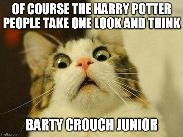 frightened cat | OF COURSE THE HARRY POTTER PEOPLE TAKE ONE LOOK AND THINK BARTY CROUCH JUNIOR | image tagged in frightened cat | made w/ Imgflip meme maker