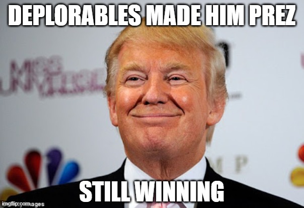 Donald trump approves | DEPLORABLES MADE HIM PREZ STILL WINNING | image tagged in donald trump approves | made w/ Imgflip meme maker