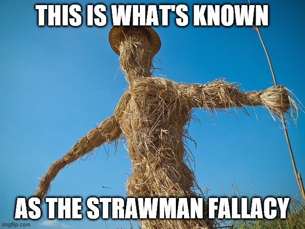 Strawman | THIS IS WHAT'S KNOWN AS THE STRAWMAN FALLACY | image tagged in strawman | made w/ Imgflip meme maker