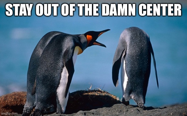 Penguin Yelling At Another Penguin | STAY OUT OF THE DAMN CENTER | image tagged in penguin yelling at another penguin | made w/ Imgflip meme maker