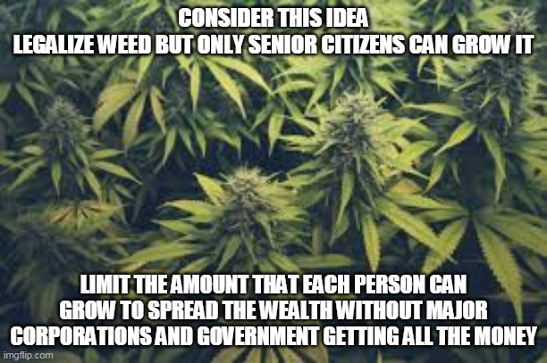 let the seniors control the weed business | CONSIDER THIS IDEA
LEGALIZE WEED BUT ONLY SENIOR CITIZENS CAN GROW IT; LIMIT THE AMOUNT THAT EACH PERSON CAN GROW TO SPREAD THE WEALTH WITHOUT MAJOR CORPORATIONS AND GOVERNMENT GETTING ALL THE MONEY | image tagged in food for thought | made w/ Imgflip meme maker