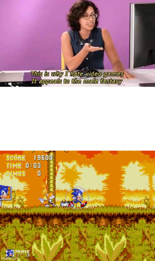i want to watch the world burn | image tagged in this is why i hate video games it appeals to the male fantasy,sonic,sonic 3,sonic the hedgehog | made w/ Imgflip meme maker