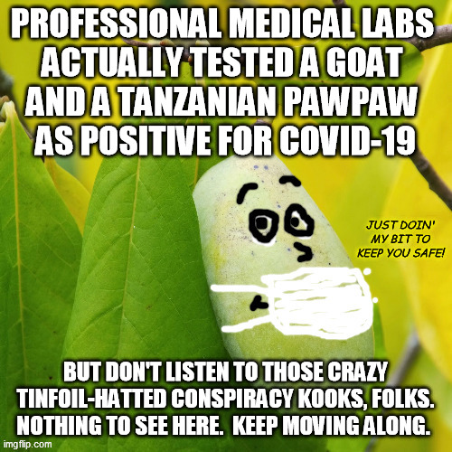 This means either the tests are functionally useless, or the tests themselves are a delivery vector | PROFESSIONAL MEDICAL LABS 
ACTUALLY TESTED A GOAT 
AND A TANZANIAN PAWPAW 
AS POSITIVE FOR COVID-19; JUST DOIN' MY BIT TO KEEP YOU SAFE! BUT DON'T LISTEN TO THOSE CRAZY TINFOIL-HATTED CONSPIRACY KOOKS, FOLKS.  NOTHING TO SEE HERE.  KEEP MOVING ALONG. | image tagged in tanzania,covid-19,coronavirus,conspiracy,virus testing,facemask fruit | made w/ Imgflip meme maker