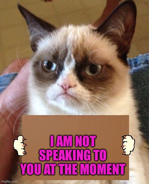 Grumpy Cat Cardboard Sign | I AM NOT SPEAKING TO YOU AT THE MOMENT | image tagged in grumpy cat cardboard sign | made w/ Imgflip meme maker
