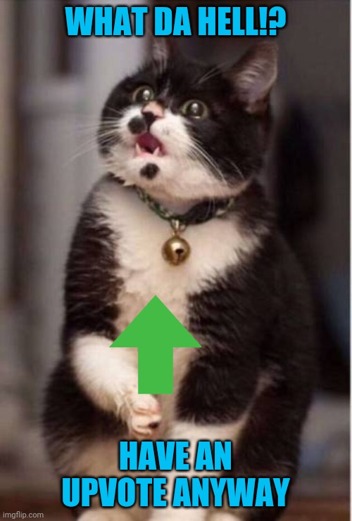 What the hell cat | WHAT DA HELL!? HAVE AN UPVOTE ANYWAY | image tagged in what the hell cat | made w/ Imgflip meme maker