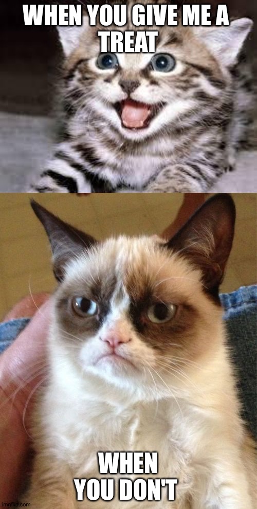 WHEN YOU GIVE ME A 
TREAT; WHEN YOU DON'T | image tagged in memes,grumpy cat,happy cat | made w/ Imgflip meme maker